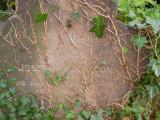 image of grave number 48796